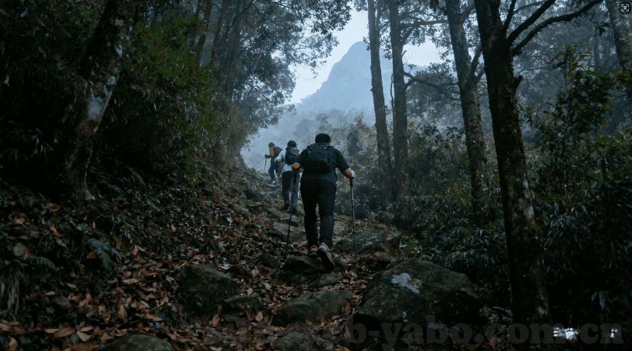 新浪博雅德州扑克登录-新浪博雅德州扑克登录，一场智慧与策略的博弈