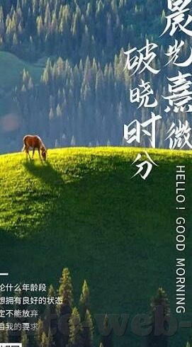 新浪世界杯故事马拉多纳-新浪世界杯，马拉多纳的传奇故事